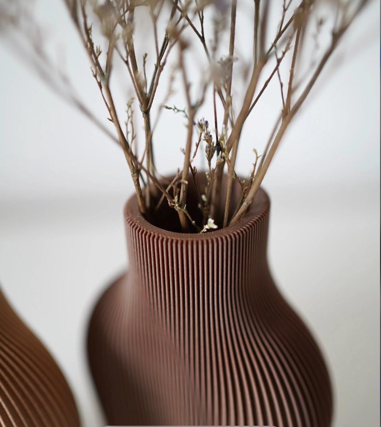 Designia Minimalist Vase