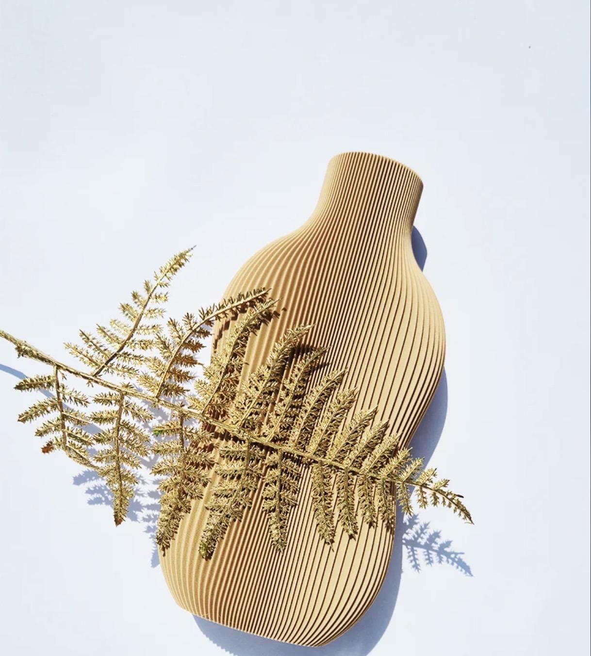 Designia Minimalist Vase