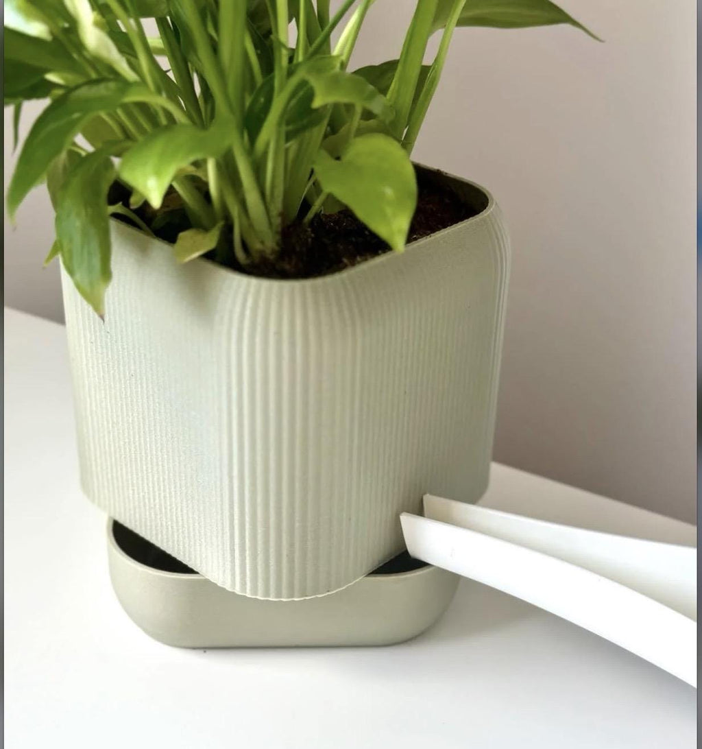 Designia self-watering pot