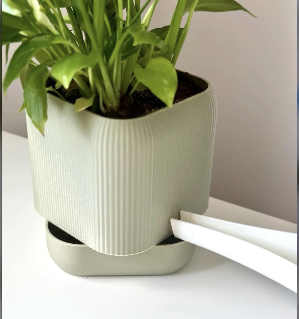 Designia self-watering pot