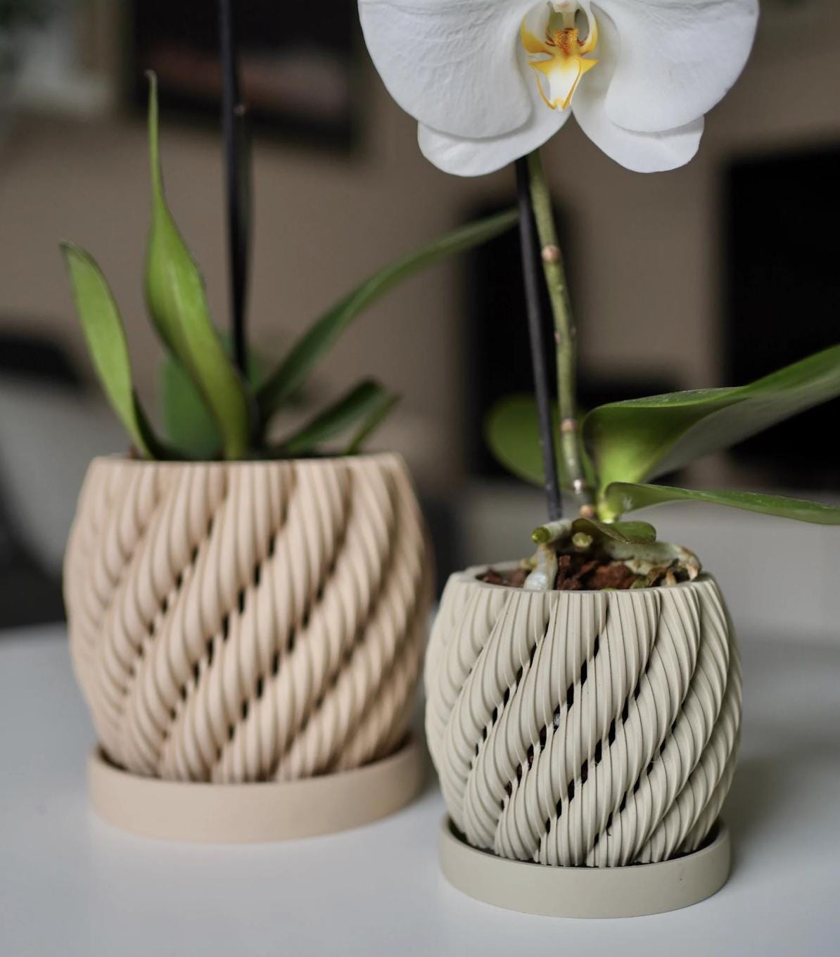 Aeris Orchid Planter with Drip Tray: Modern Ventilated Pot