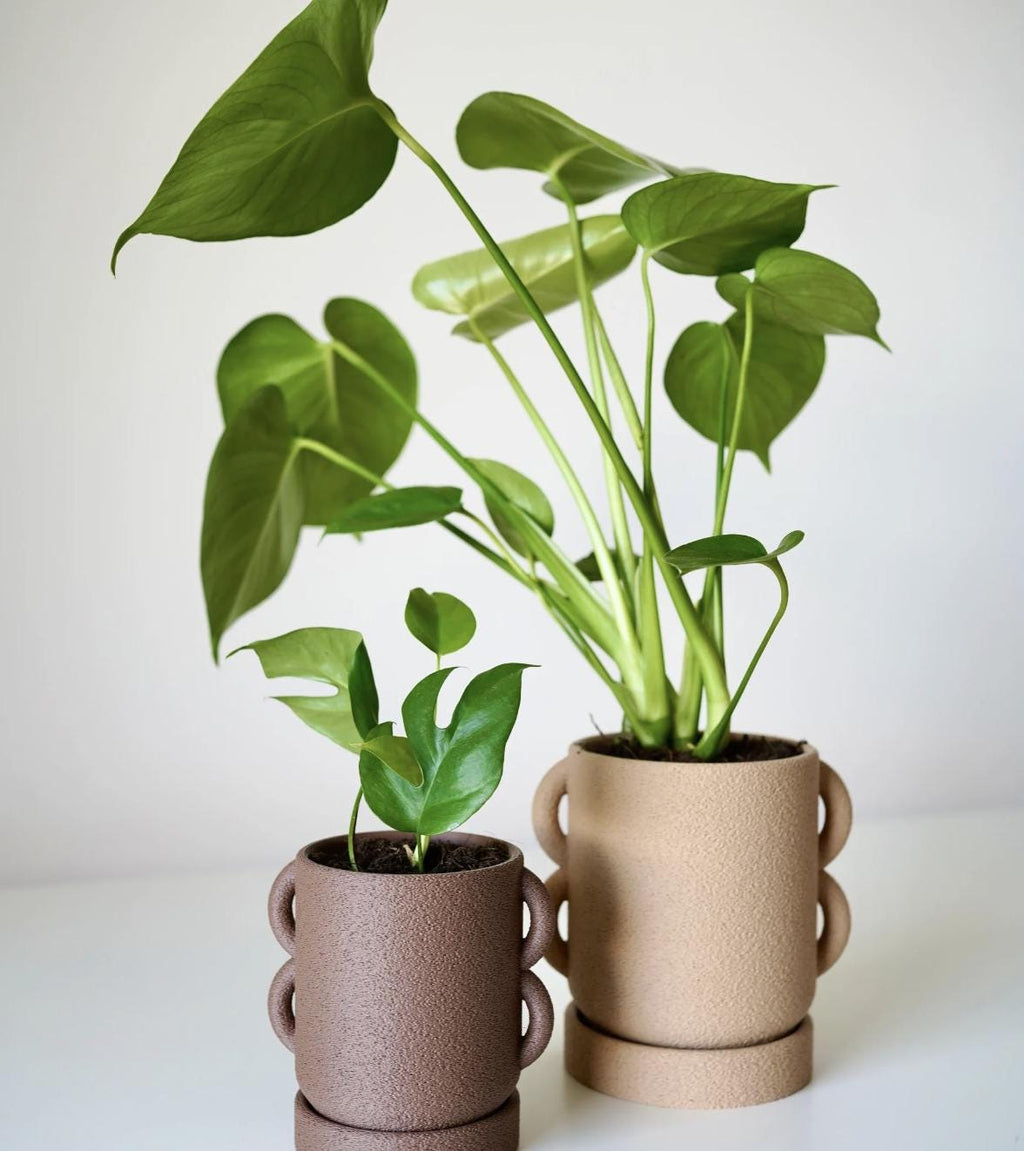 Modern Minimalist Planter: Loopo Design with Handles