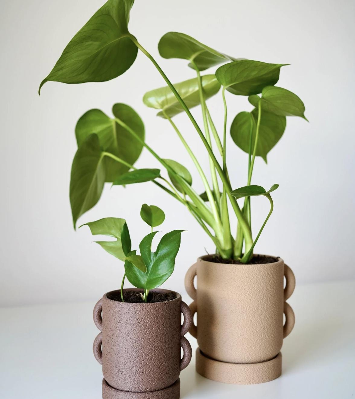 Modern Minimalist Planter: Loopo Design with Handles