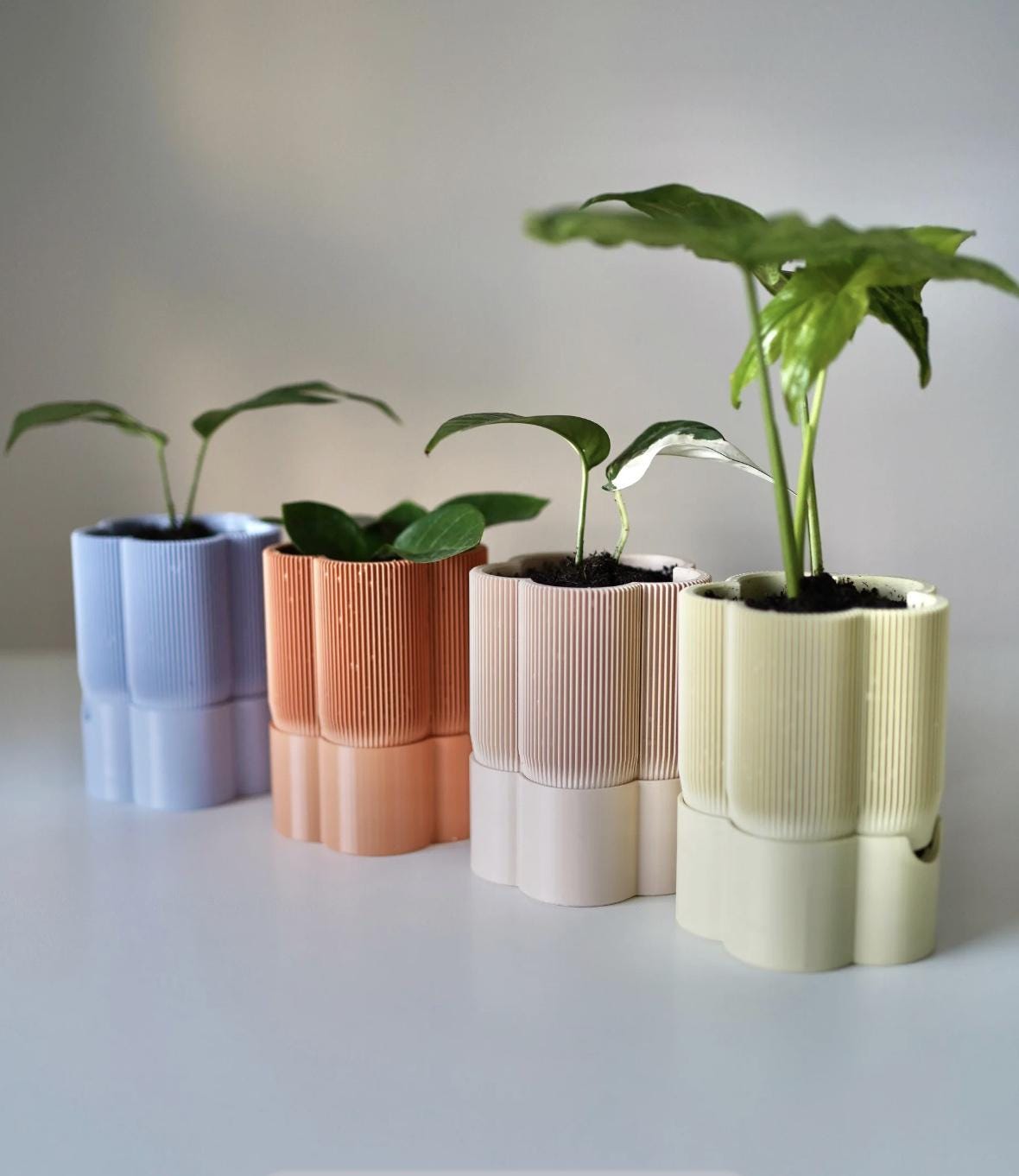 FLOLLIA small self-watering planter