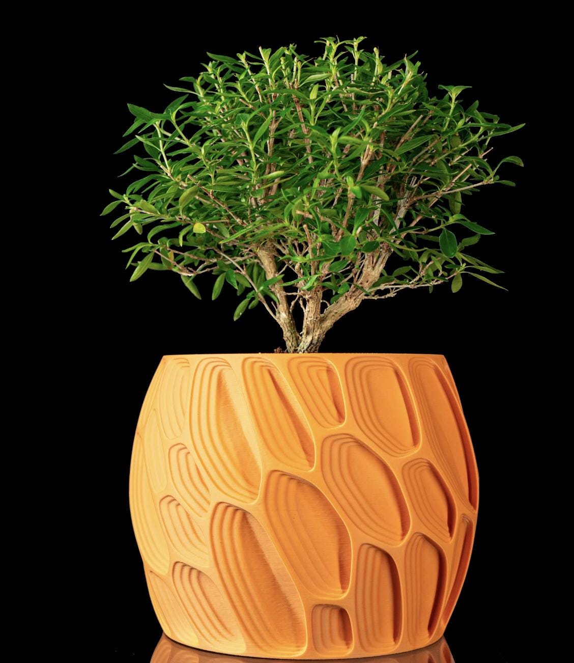 3D Printed Planter: Sculptural Organic Texture Pot, Modern Home Decor