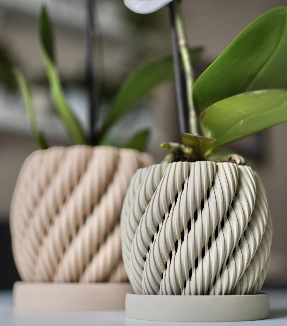 Aeris Orchid Planter with Drip Tray: Modern Ventilated Pot